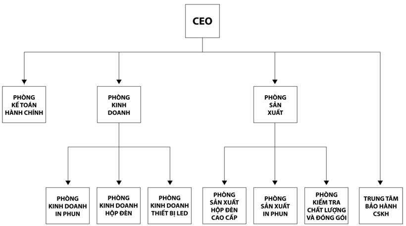 cơ cấu tổ chức công ty Tân Hải Thái